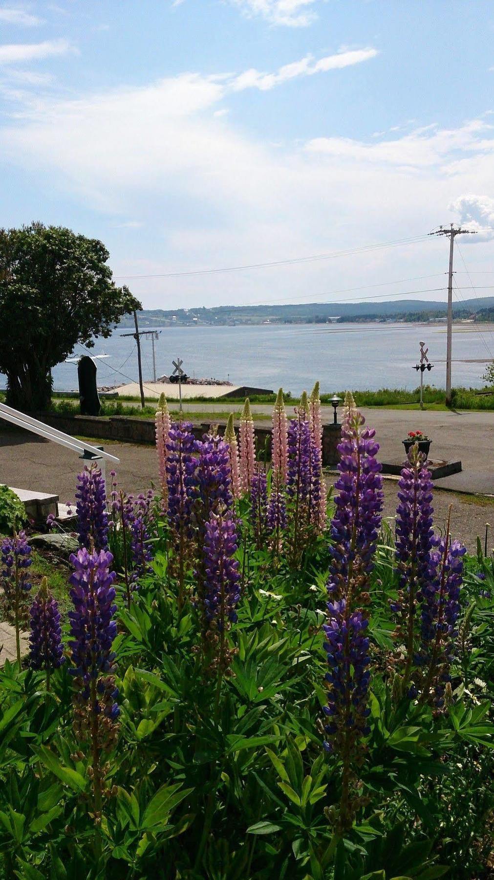 Le Manoir Du Vieux Presbytere Port-Daniel Bagian luar foto